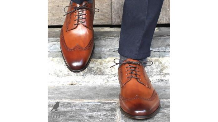 Ilustrasi sepatu |  Thomas Bird