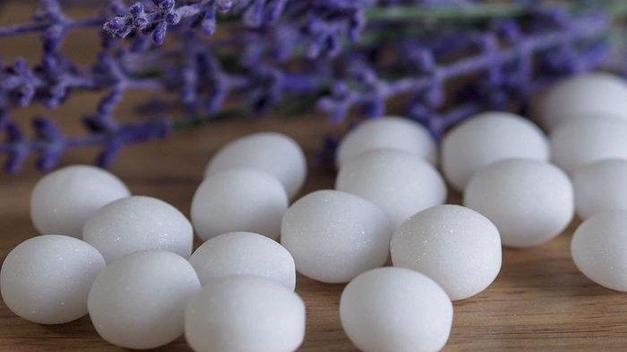 Kamper | Tribunnews.com