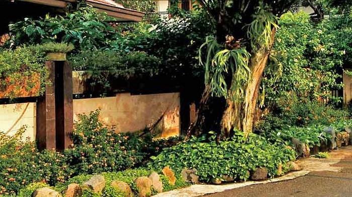 Ilustrasi Desain Taman di Sepanjang Tepi Jalan Rumah. (grid.id)