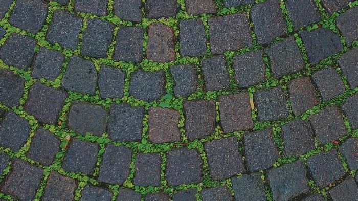 5 Cara Praktis Membersihkan Lumut dari Paving Block, Bye-Bye Licin!