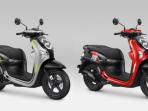 4 Banderol Terbaru Honda Scoopy 2024, Cek Harganya Mulai Rp 20 Jutaan!
