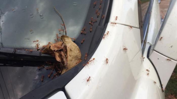 Kebersihan area parkir itu sangat penting. (MSN.com)