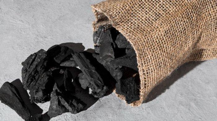 Arang (TribunShopping.com) 