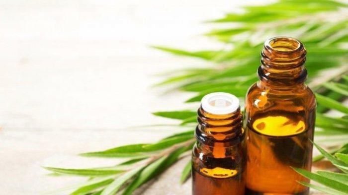 Essential Oil (TribunShopping.com)