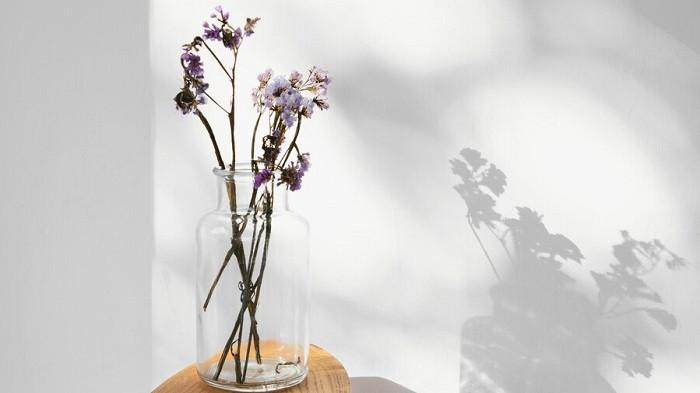 Ilustrasi bunga kering | foto freepik