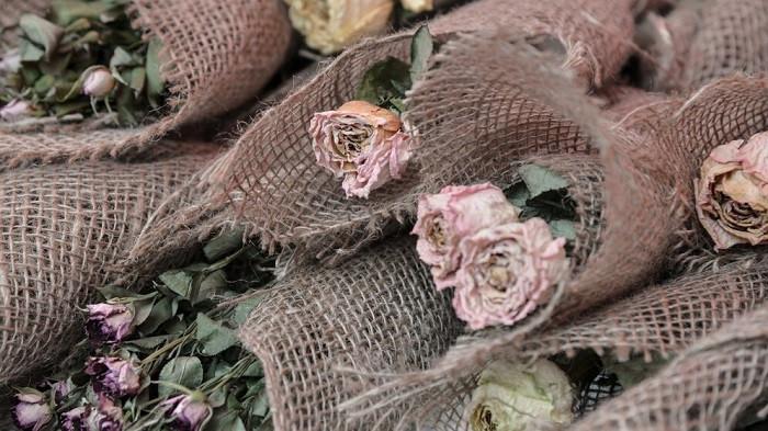 Ilustrasi bunga kering | foto onlyyouqj/freepik