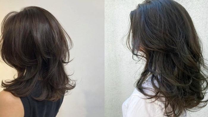 Ilustrasi butterfly haircut (kompas.com)