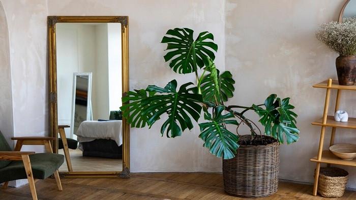 Ilustrasi dekorasi Scandinavia dengan cermin | foto freepik