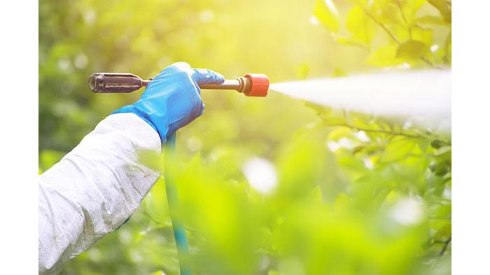 Ilustrasi insektisida. (Shutterstock)