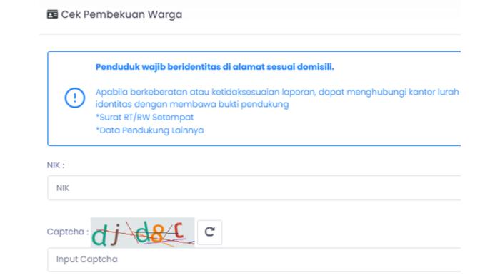 Ilustrasi laman untuk mengecek NIK dinonaktifkan atau tidak. (datawarga-dukcapil.jakarta.go.id)