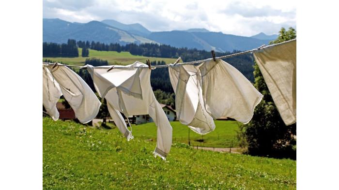 Ilustrasi menjemur baju di luar ruangan dekat dengan tanaman |  Dengarden