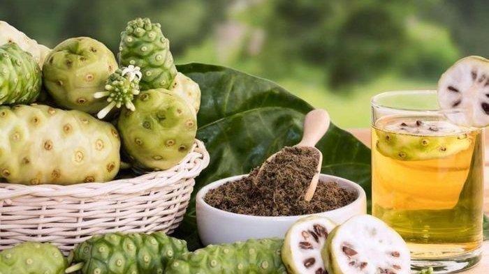 Mengkudu (TribunKaltim.co)