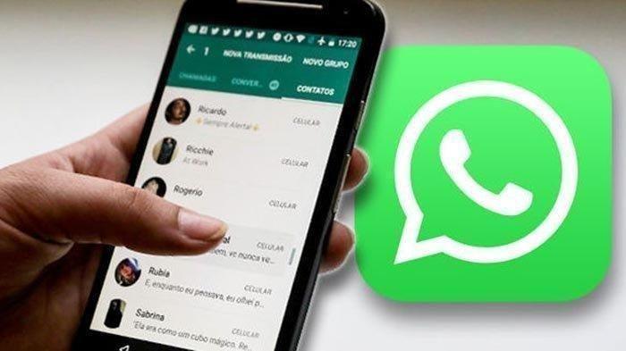 WhatsApp Android (Tribunnews.com) 