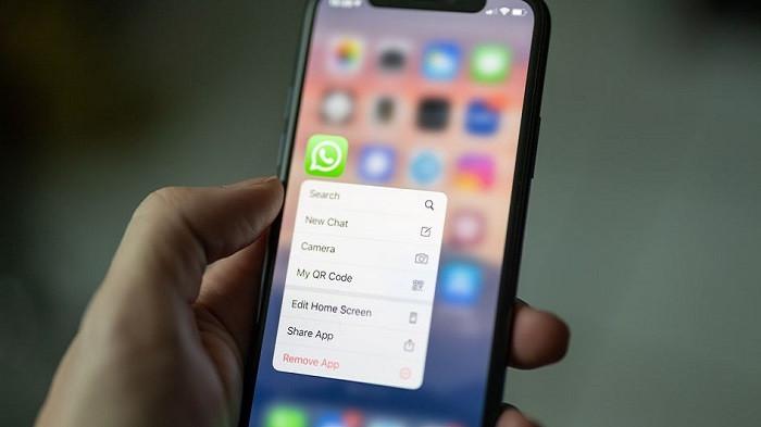 WhatsApp iPhone (Grid.id) 