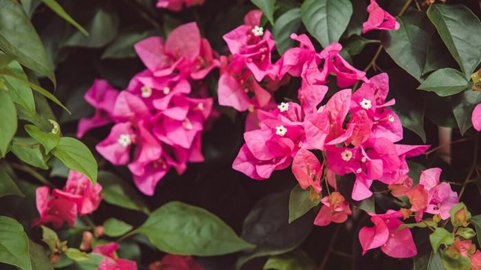 foto alexeyzhilkin/freepik