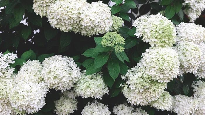 foto pvproductions/freepik