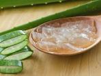 9 Manfaat Lidah Buaya untuk Kecantikan dan Kesehatan Tubuh