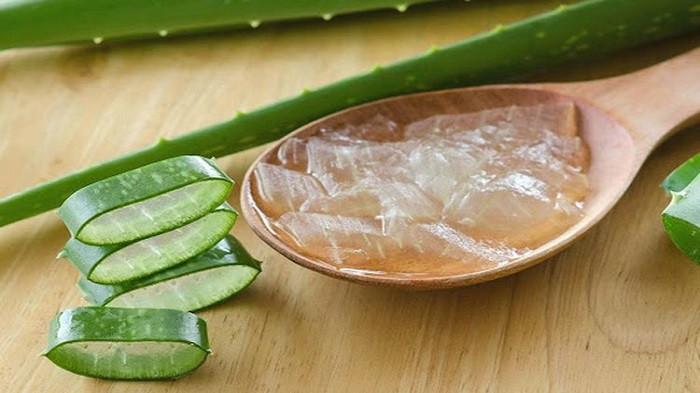 9 Manfaat Lidah Buaya Untuk Kecantikan Dan Kesehatan Tubuh - Blog ...