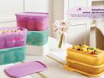 Cek Katalog Promo Tupperware Terbaru Maret 2024 Bertajuk 