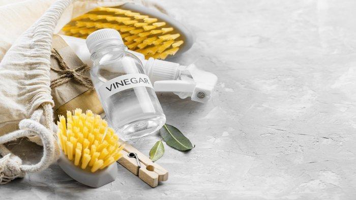 Cuka Putih (TribunShopping.com)