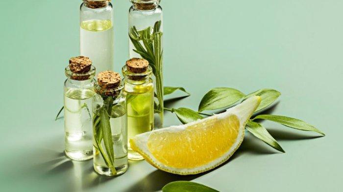 Essential Oil (TribunShopping.com) 