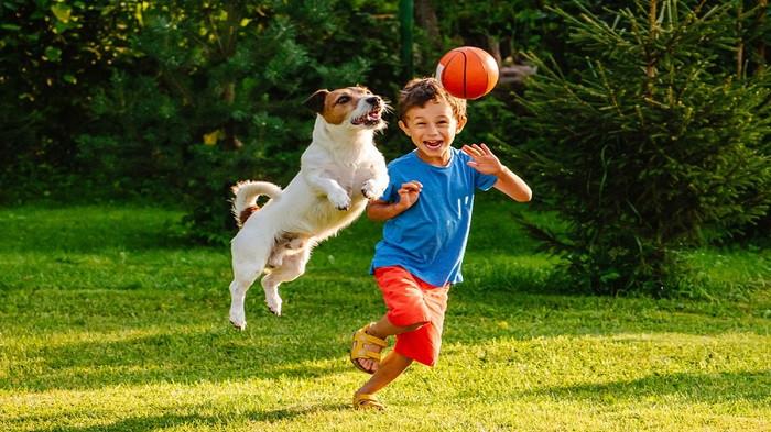 Ilustrasi anak kecil dan hewan (kompas.com)