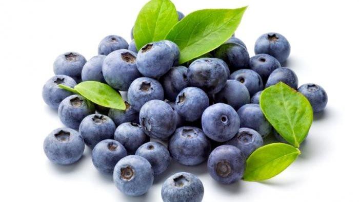 Ilustrasi buah blueberry | Tribunnews