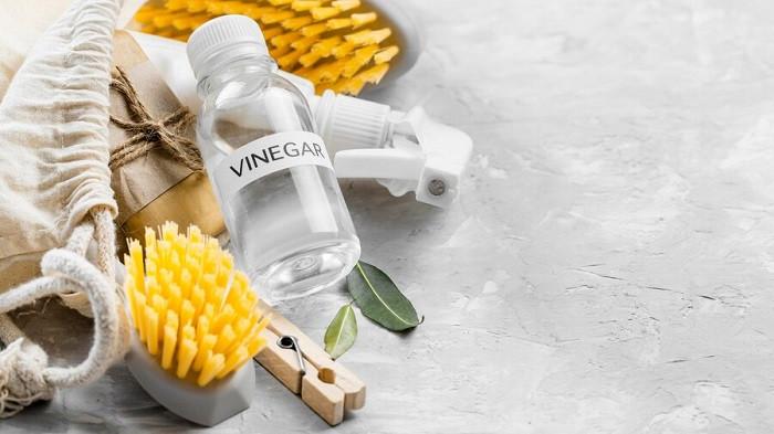 Ilustrasi cuka | foto freepik