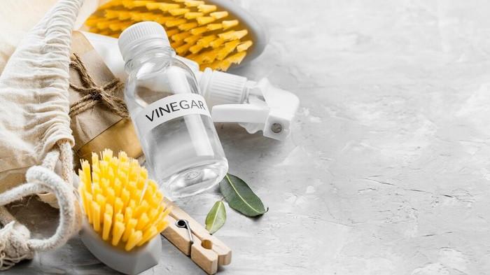 Ilustrasi cuka untuk mengusir laba-laba | foto freepik