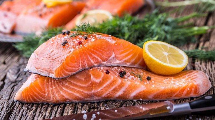 Ilustrasi ikan salmon | Tribunnews