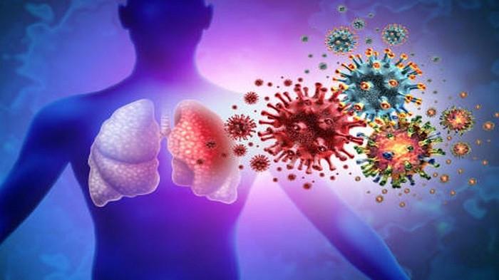 Ilustrasi infeksi bakteri dan virus (kompas.com)