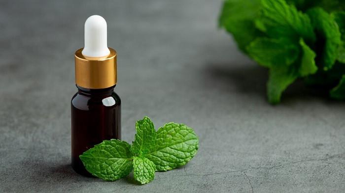 Ilustrasi minyak peppermint | foto jcomp/freepik