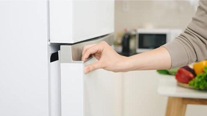 Pintu kulkas (TribunShopping.com) 