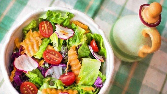 Salad Sayur (Tribunnews.com) 