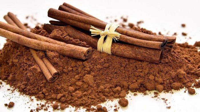 Ilustrasi kayu manis untuk mengusir laba-laba. (Pixabay)