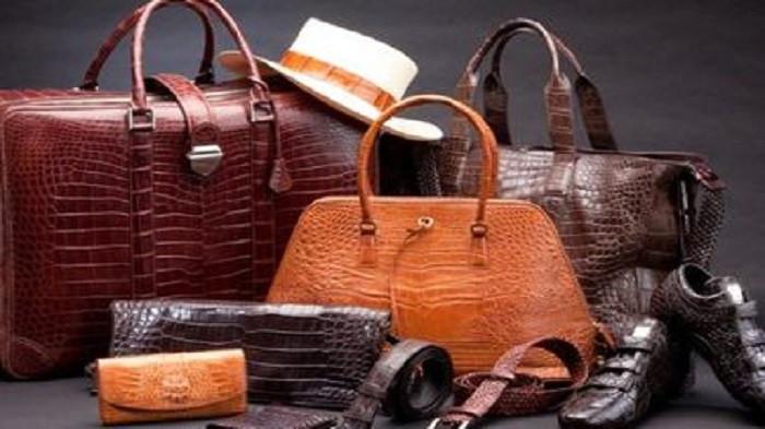 Ilustrasi perawatan khusu tas kulit (kompas.cm)