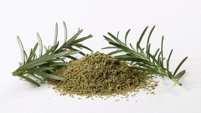 Rosemary (Tribunnews.com) 
