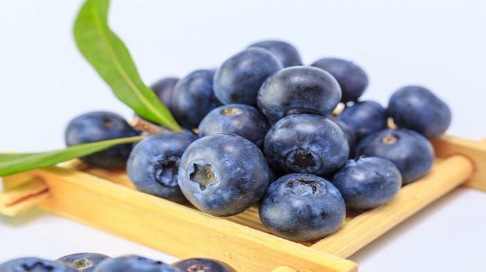 blueberry (kompas.com)