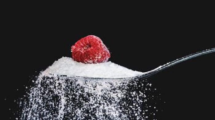 ilustarsi gula (kompas.com)