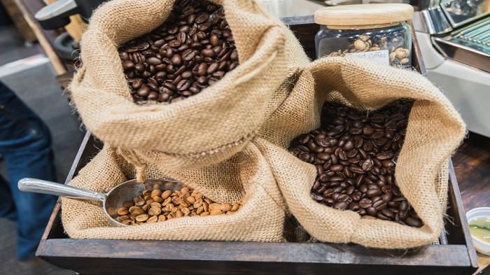 ilustrasi biji kopi berkualitas (kompas.com)
