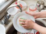 3 Cara Menghilangkan Noda di Piring Melamin, Ampuh Pakai Bahan Dapur