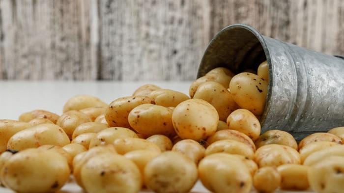 Ilustrasi Kentang untuk Mengatasi Ketiak yang Hitam dan Gatal. (Freepik)