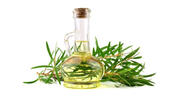 Ilustrasi Minyak Kayu Putih untuk Mengatasi Ketiak yang Hitam dan Gatal. (Shutterstock)