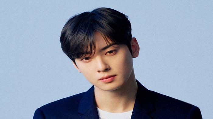 cha eun woo