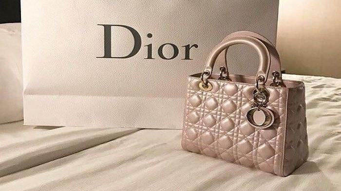 dior lady bag (pinterest.com)