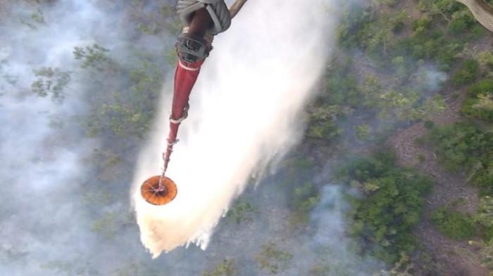 ilustrasi penggunaan asap (kompas.com)