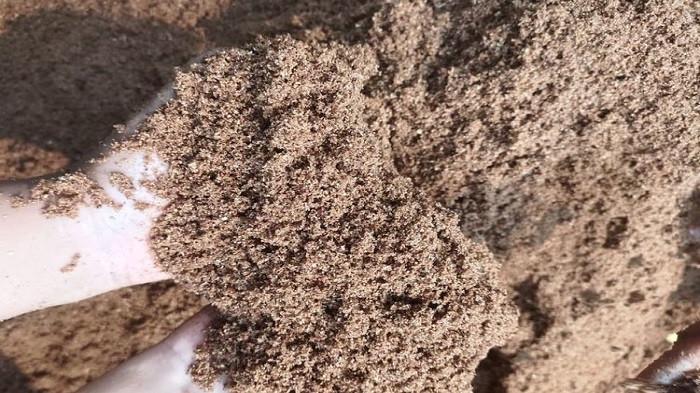 ilustrasi serbuk kayu bakar (kompas.com)