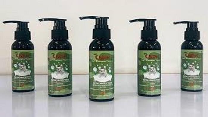 shampo kucing (Kompas.com)