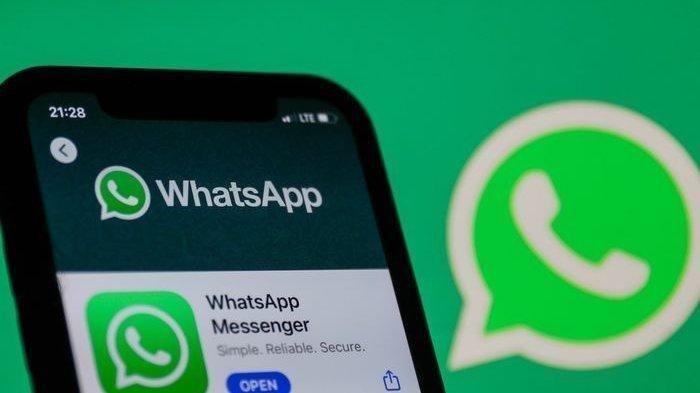 whatsapp messenger (tribunews.com)