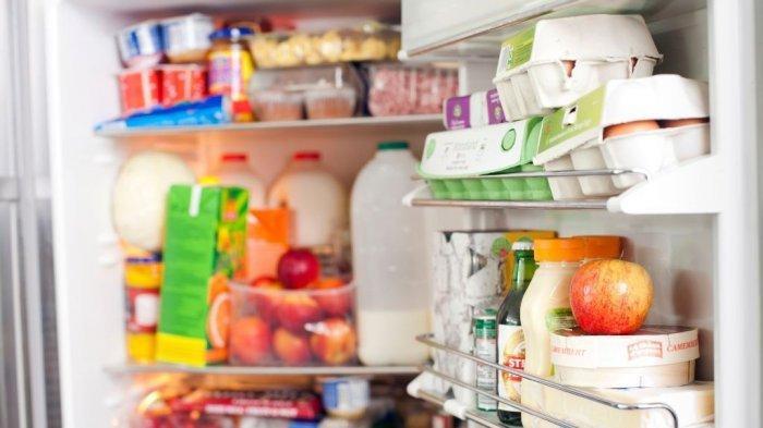 Makanan sisa dalam kulkas | Tribunnews.com